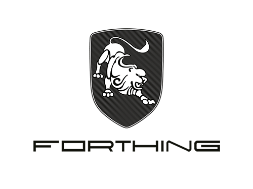 Forthing M4 Yacht (5 - 5 - 5x114.3) (2022.01 - н.в.)